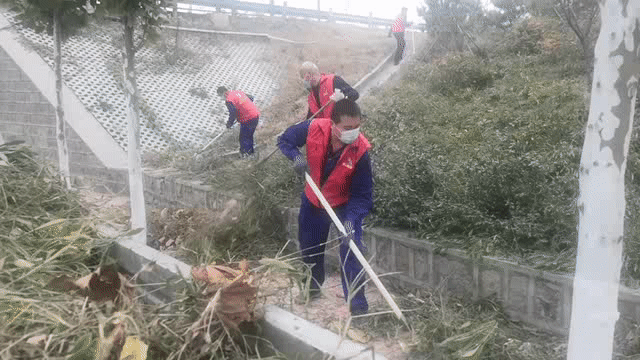 择善明德 志愿红“美颜”绿化区 —集团党委组织党员志愿服务活动68